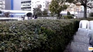国产yw亚洲精品,成人视频高清免费观看